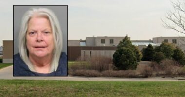 'We are very lucky that she got caught': School bus driver who was 'extremely' drunk had driven dozens of children, including preschoolers, the day she was busted