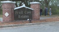 'We do not support this': Fruit Cove neighbors protest Daily's gas station proposal