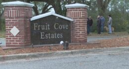 'We do not support this': Fruit Cove neighbors protest Daily's gas station proposal