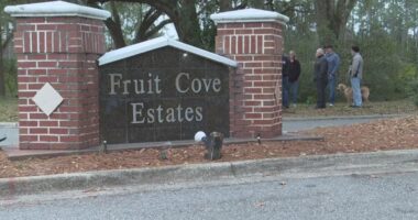 'We do not support this': Fruit Cove neighbors protest Daily's gas station proposal
