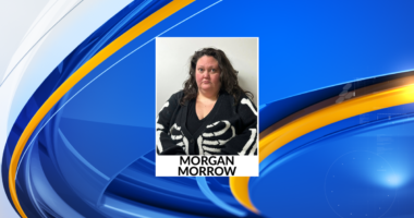 West Virginia woman arrested in alleged Trump assassination plot