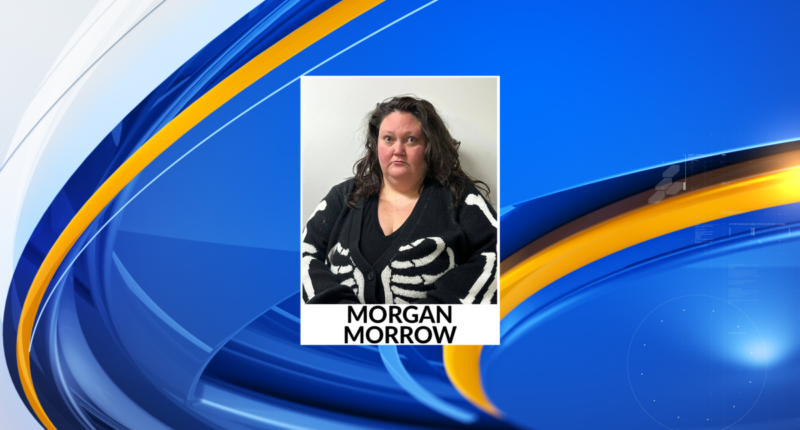 West Virginia woman arrested in alleged Trump assassination plot