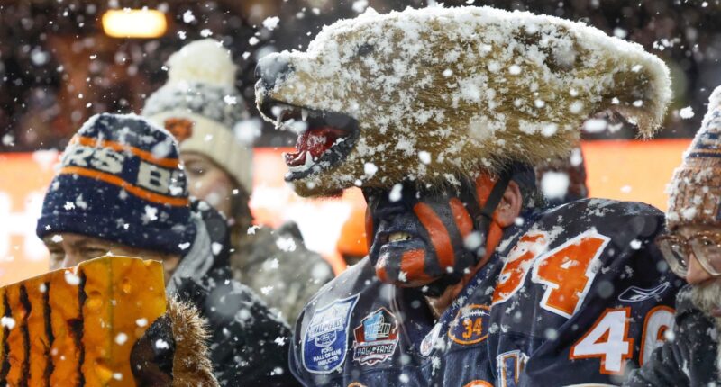 What time is Bears vs Rams game today? Chicago hosts LA as temps plummet for subfreezing weather at Soldier Field for NFL playoffs