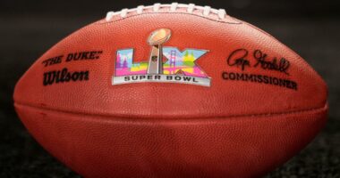 When was the last time the Patriots and the Seahawks went to the Super Bowl?