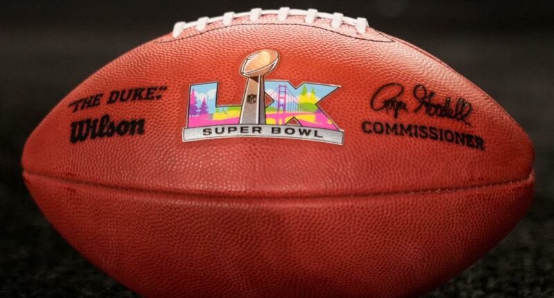 When was the last time the Patriots and the Seahawks went to the Super Bowl?