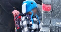 White House, DHS push back on claims ICE targeted 5-year-old in Minnesota, say child was 'abandoned'