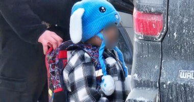 White House, DHS push back on claims ICE targeted 5-year-old in Minnesota, say child was 'abandoned'