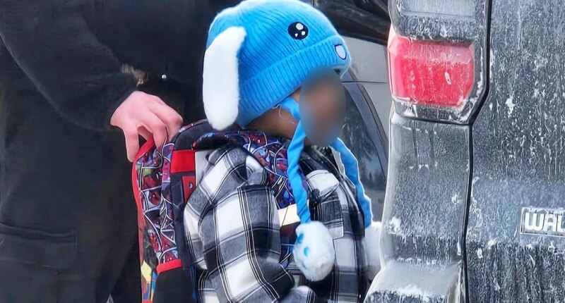 White House, DHS push back on claims ICE targeted 5-year-old in Minnesota, say child was 'abandoned'