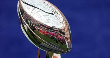 Who is going to the Super Bowl?