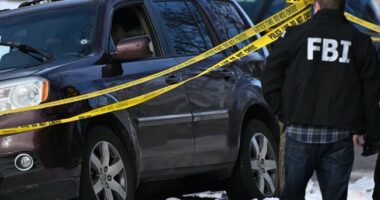 Wife of Slain Minneapolis Domestic Terrorist Allegedly Caught on Tape Filming Incident, Sobbing Afterward