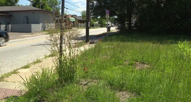 Will Augusta's plan to step up grass cutting grow government?