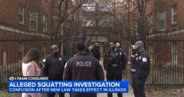 Woman frustrated Chicago police will not remove alleged squatter from Chatham condo despite new Illinois law