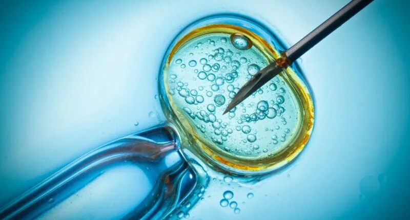 Woman gives birth to baby that isn't hers, sues Florida IVF clinic: Documents