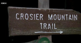 Woman killed in suspected mountain lion attack while hiking in northern Colorado