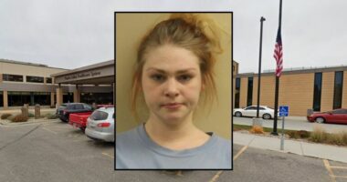 Woman packing boxes with fiance used 10-inch kitchen knife to stab him in the chest during argument, police say