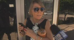 Suzanne Lee Milgate was found guilty in December after being filmed hitting then-chief minister Natasha Fyles with the thin pastry.