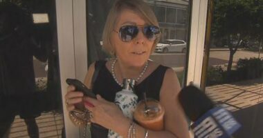 Suzanne Lee Milgate was found guilty in December after being filmed hitting then-chief minister Natasha Fyles with the thin pastry.