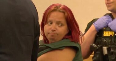 Woman who 'instructed' 10-year-old she met online to murder newborn staying in her house by dropping her on the kitchen floor will walk free