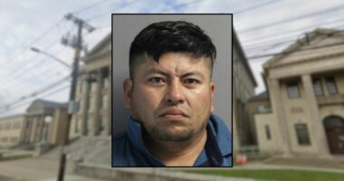 'You are going to die here': Man stabbed his children's mother then tried to clean up the blood while she called 911