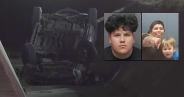Young man who blasted mother of 4 in the head with Beretta 9 mm while driving, sending her car flying into ditch during road rage confrontation learns his fate