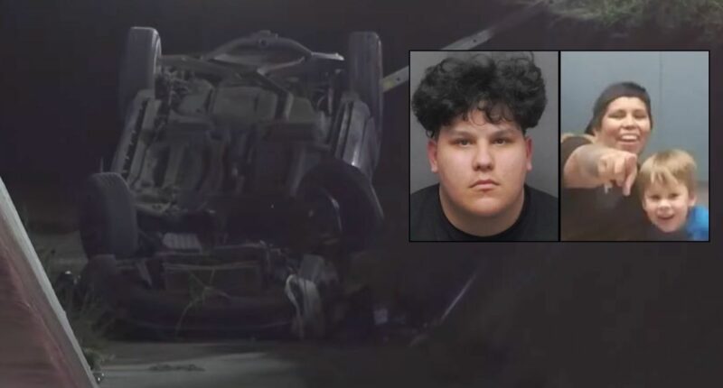 Young man who blasted mother of 4 in the head with Beretta 9 mm while driving, sending her car flying into ditch during road rage confrontation learns his fate