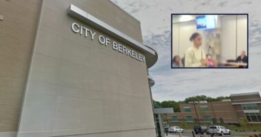 'You're lucky I didn't stab you in the f–ing chest': Woman wanted in domestic violence case arrested after complaining about police at city council meeting, authorities say