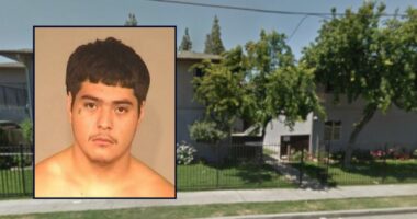 'You're smiling now': Defiant killer learns his fate during dramatic sentencing hearing over house party shooting