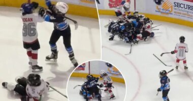 Youth hockey players get into wild brawl during game at AHL rink