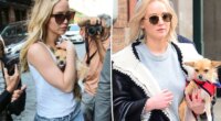 ‘Awful’ Jennifer Lawrence slammed for rehoming dog who bit her child: ‘This is so disappointing’