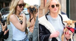 ‘Awful’ Jennifer Lawrence slammed for rehoming dog who bit her child: ‘This is so disappointing’