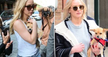 ‘Awful’ Jennifer Lawrence slammed for rehoming dog who bit her child: ‘This is so disappointing’