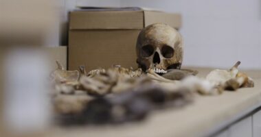 ‘Horror Movie’: Authorities Make a Massive Discovery... of Gruesome Human Remains at PA Home