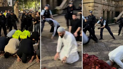 'Far too severe': Calls grow for public apology for Town Hall protest