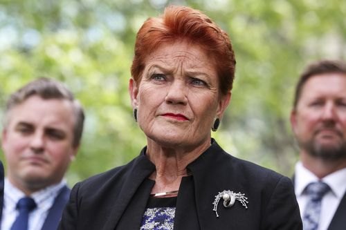 One Nation leader Senator Pauline Hanson during a press conference at Parliament House in Canberra on Monday 19 January 2026. fedpol Photo: Alex Ellinghausen