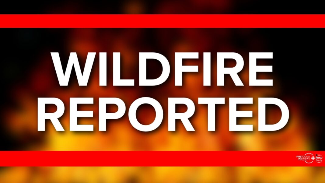 10-acre wildfire burning in Green Cove Springs, officials say