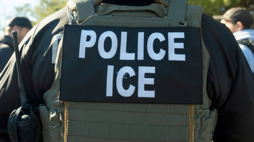 29 located by ICE during local operation, sheriff's office says