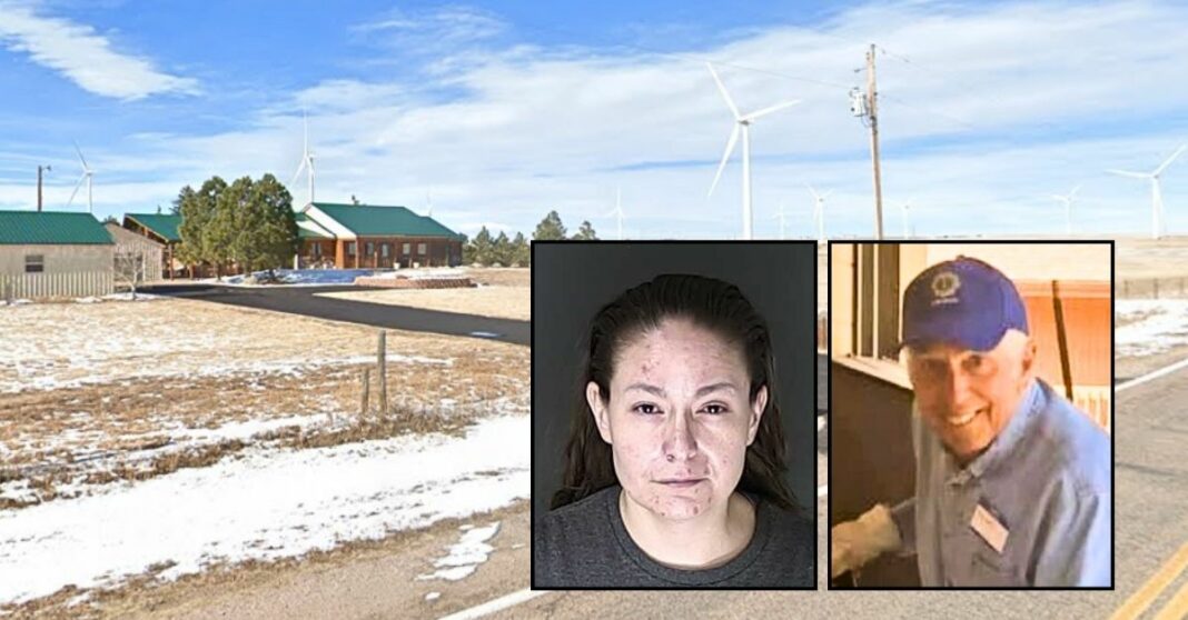 79-year-old grandpa cutting grass on lawn mower hit by stoned Subaru driver and sent 'flying' to his death while wife was 'watching him' through window: Cops