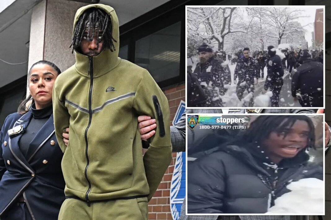 Accused snowball slinger insists he was 'enjoying the moment' -- as he shamelessly promoted his YouTube account