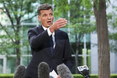 Angus Taylor is  set to challenge Sussan Ley for the Liberal leadership. What happens now?