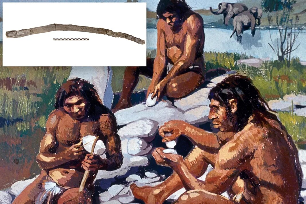 Archaeologists uncover possibly oldest handheld wooden tools