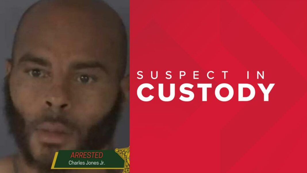 Arrest made in deadly stabbing of man in Orange Park