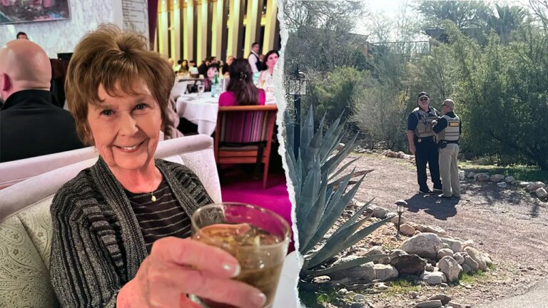 Unusual Pet Behavior Observed by Neighbor on Night of Nancy Guthrie’s Disappearance: New Details Emerge