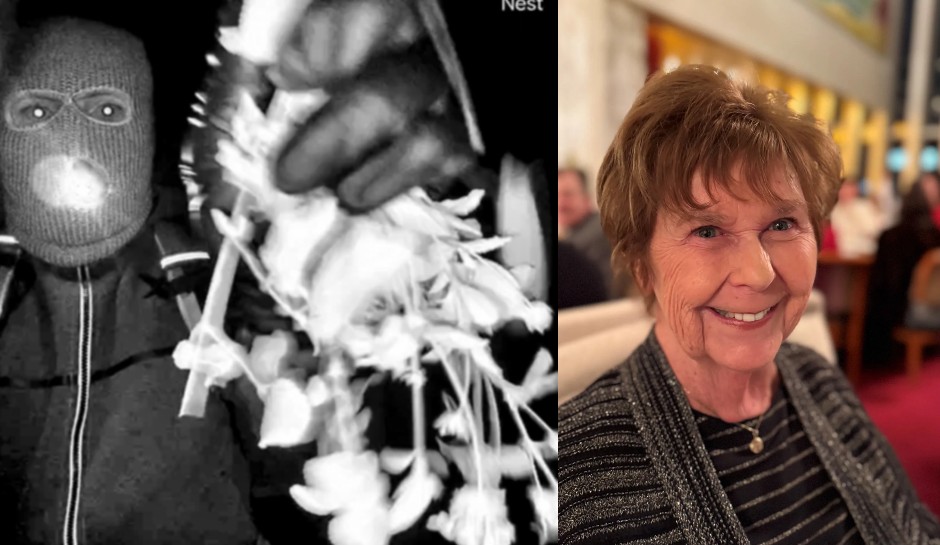 BREAKING: Police Detain Person of Interest in Nancy Guthrie Disappearance