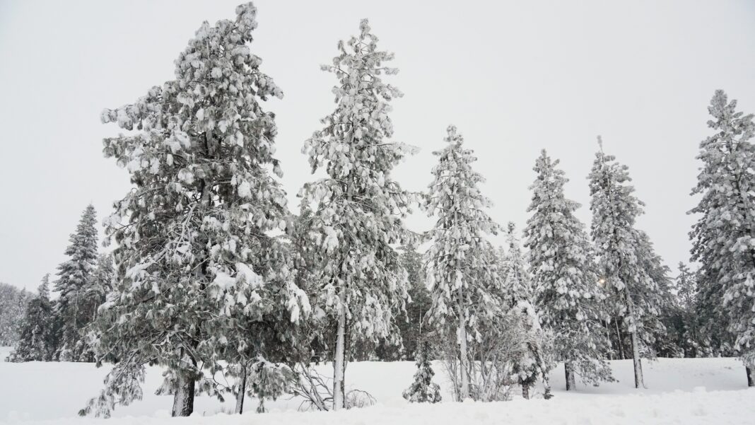 Castle Peak avalanche: Snow drought helped set the stage for deadly California avalanche, leading to unstable conditions