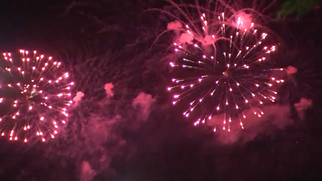 Chicago Valentine's Day events 2026: Navy Pier fireworks, Shedd Aquarium hosts LaGrange Park Bob Mann Woods 'Nature's Rage Room'