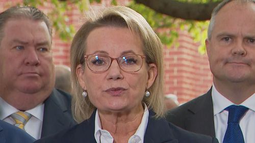 Coalition remains in tatters despite 'constructive' talks, peace offering