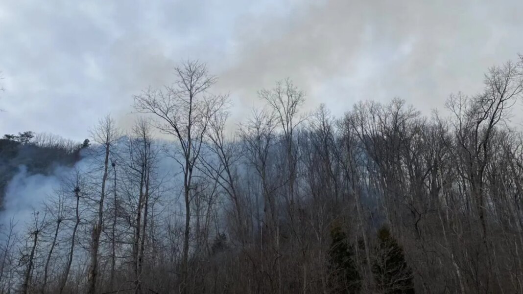Crews fight 31-acre wildfire on Clinch Mountain in Grainger County