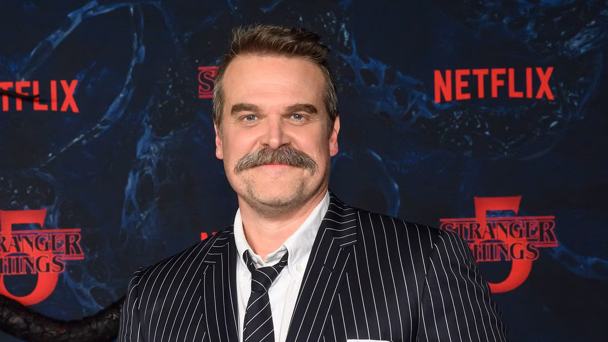 David Harbour skips Stranger Things costar Maya Hawke's wedding