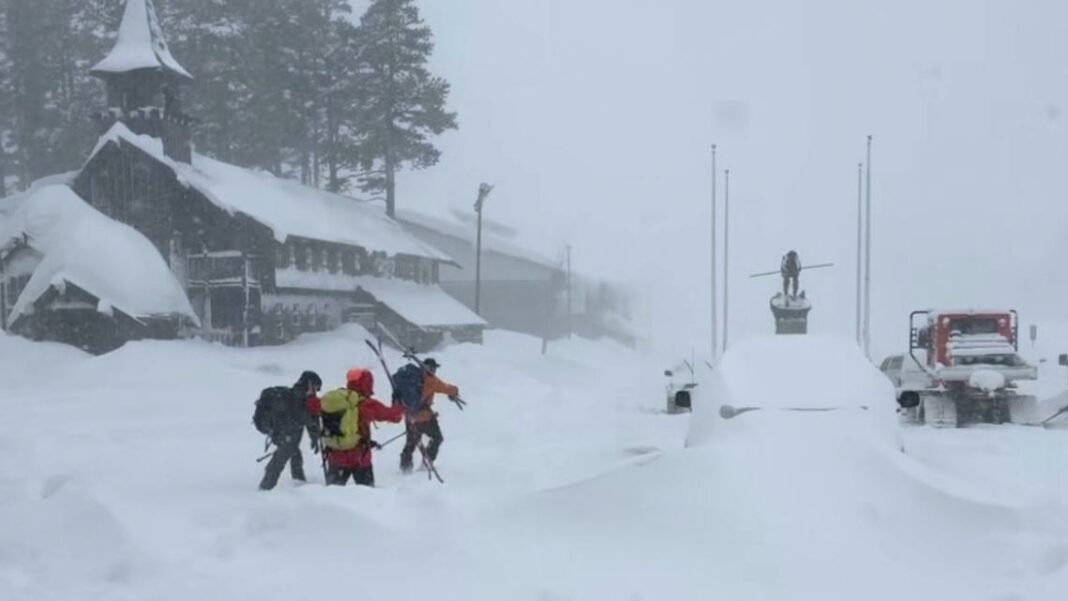 Eight skiers dead, 1 still missing after California avalanche
