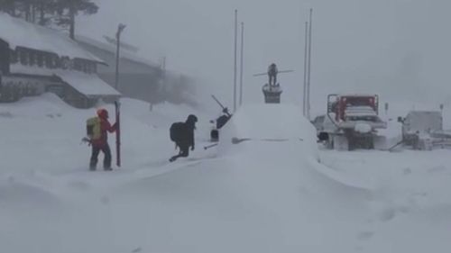 Eight skiers found dead after US avalanche disaster